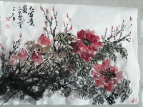 手绘国画大富贵牡丹图