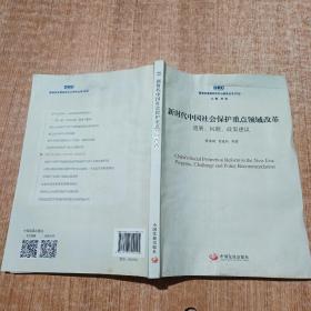 新时代中国社会保护重点领域改革：进展、问题、政策建议（国务院发展研究中心研究丛书2018）