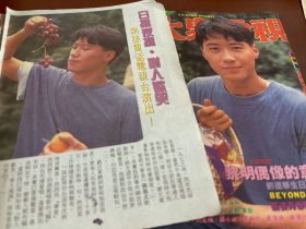 黎明 刘嘉玲 32开8面