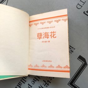 上海古籍1994印版    孽海花（《十大古典白话长篇小说》丛书）