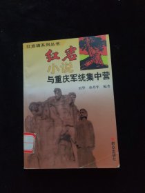 红岩小说与重庆军统集中营