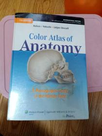 ColorAtlasofAnatomy:APhotographicStudyoftheHumanBody