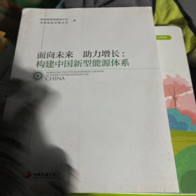 面向未来助力增长 构建中国新型能源体系