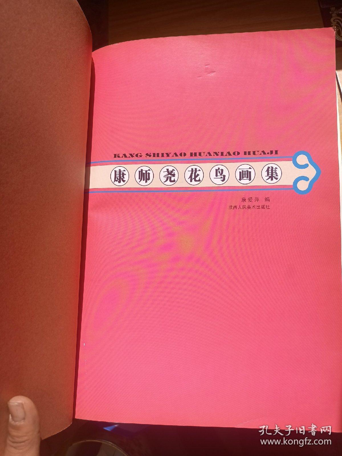 康师尧花鸟画集