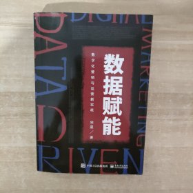 数据赋能：数字化营销与运营新实战(博文视点出品)