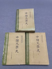 中国文学史 一二三册 全三册 3本合售