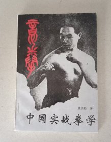 意拳 中国实战拳学