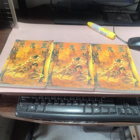 正版 天龙王（精典武侠书系）