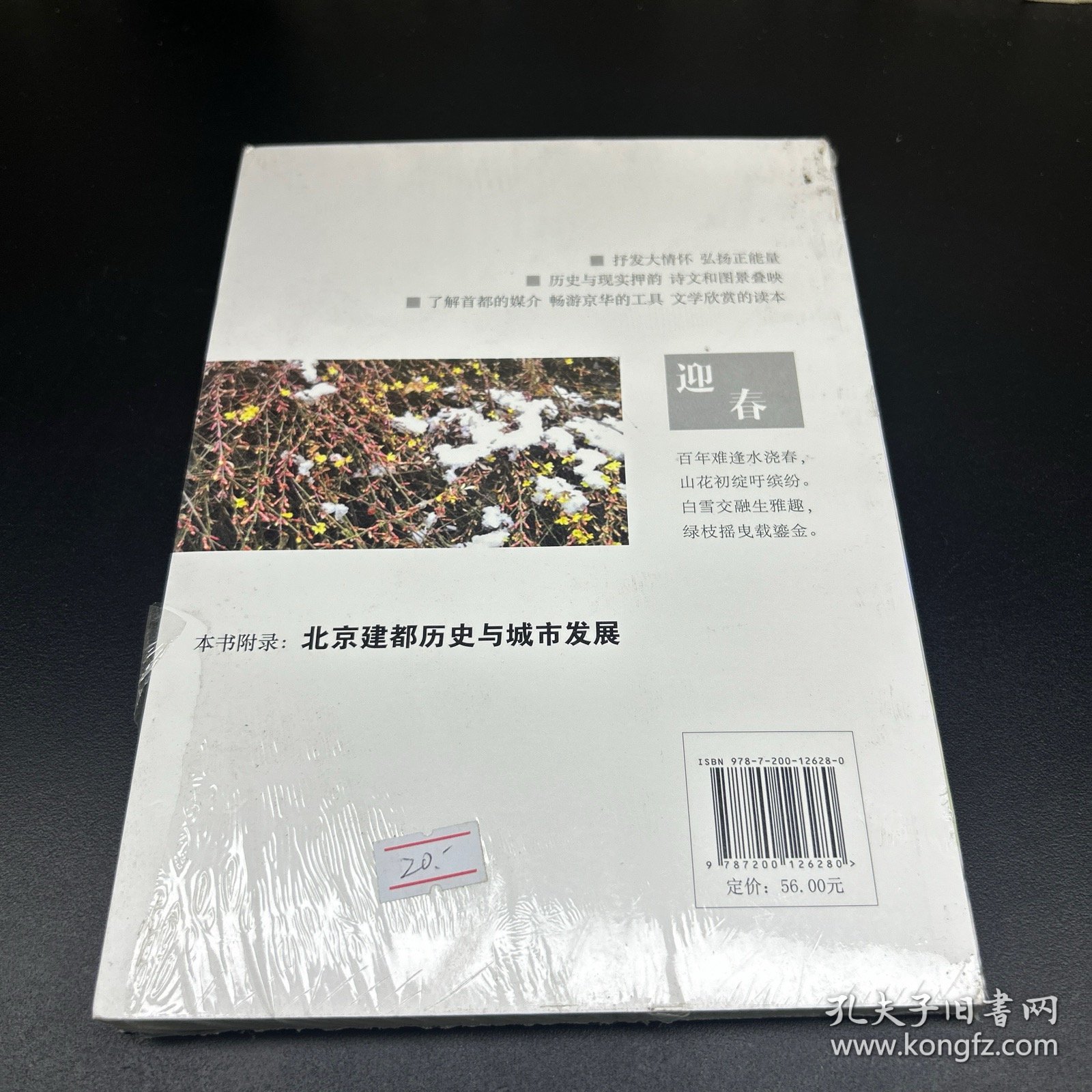 诗画北京 了解首都的媒介 畅游京华的工具 文学欣赏的读本