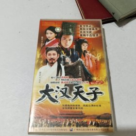 大汉天子 （41碟DVD）