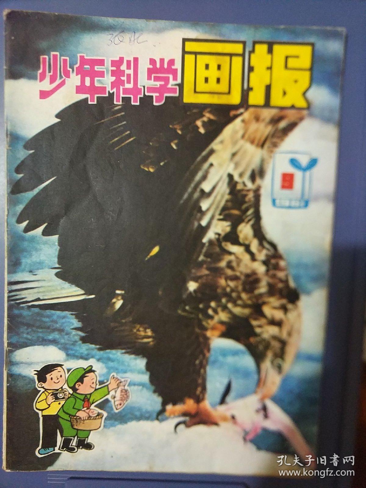 少年科学画报1981年9期
