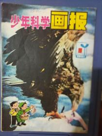 少年科学画报1981年9期
