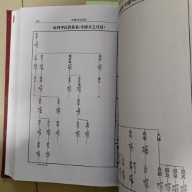 歧峰豸峰厚福李氏谱志【福州长乐李氏】