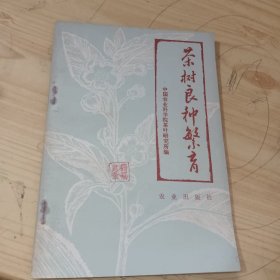 茶树良种繁育