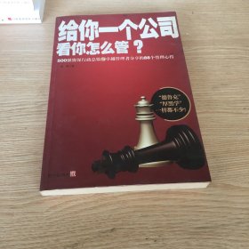 给你一个公司看你怎么管？