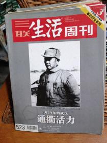 三联生活周刊 2009年第13期