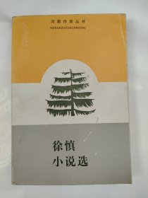 徐慎小说选 河南作家丛书