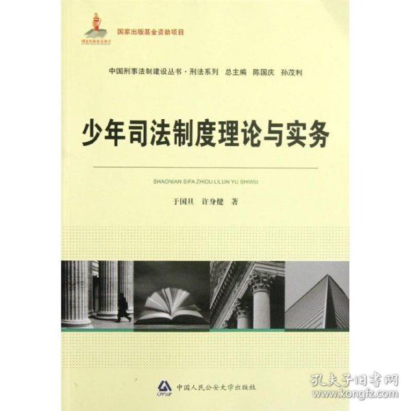 国家出版基金资助项目·中国刑事法制建设丛书·刑法系列：少年司法制度理论与实务