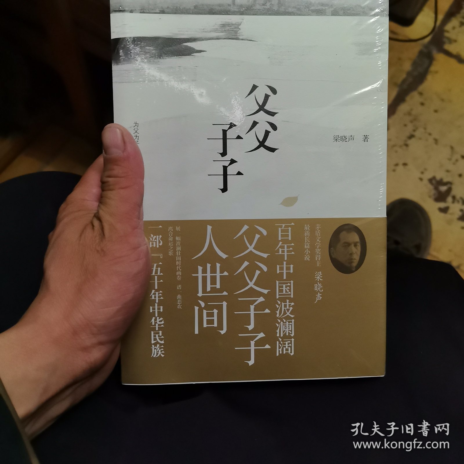父父子子（第十届茅盾文学奖得主、电视剧《人世间》原著作者梁晓声长篇力作!）