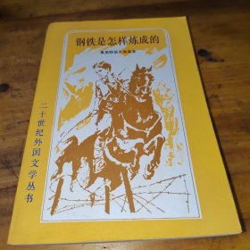 钢铁是怎样炼成的