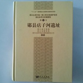 郧县店子河遗址