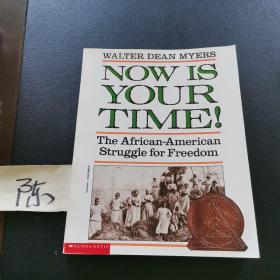 NOW IS YOUR TIME ! The African-American Struggle for Freedom