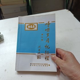 峥嵘岁月忆征程 第三集