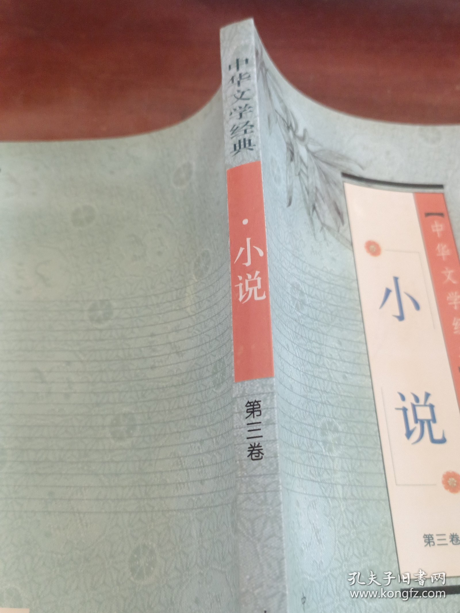 中华文学经典.小说（第三卷）