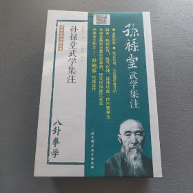 孙禄堂武学集注