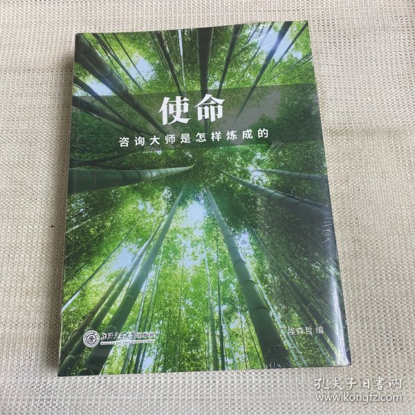 使命：咨询大师是怎样炼成的