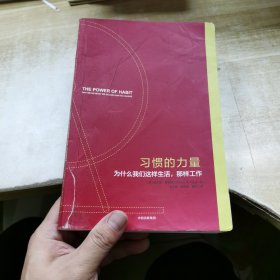 习惯的力量：为什么我们会这样生活，那样工作