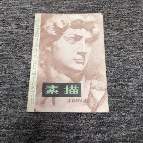 绘画技法自学丛书——素描