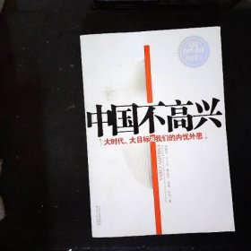 中国不高兴：大时代大目标及我们的内忧外患