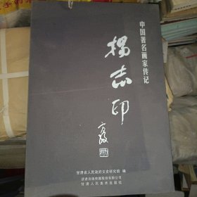 画家杨志印 传记盒装