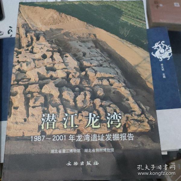 潜江龙湾：1987~2001年龙湾遗址发掘报告（全两册）