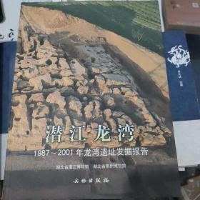 潜江龙湾：1987~2001年龙湾遗址发掘报告（全两册）