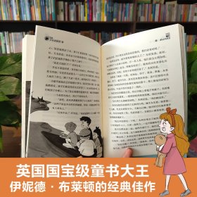 疯狂少年侦探团：全4册