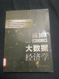 离散主义与后古典经济学丛书：大数据经济学