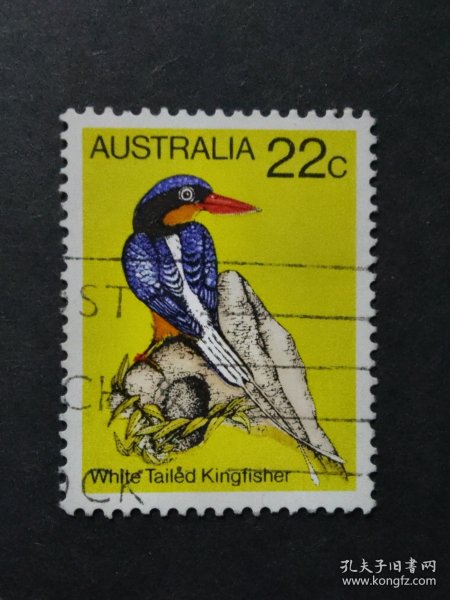 澳大利亚邮票 1980年鸟类 1枚销