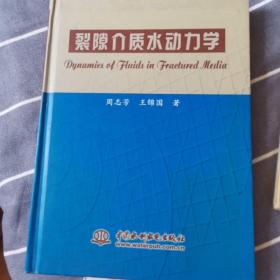 裂隙介质水动力学