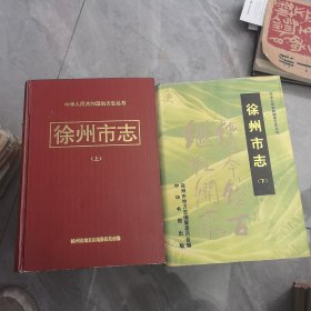 徐州市志 上下册