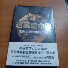 这就是中国:走向世界的中国力量（全新未拆封）