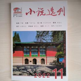 小说选刊2022年第11期