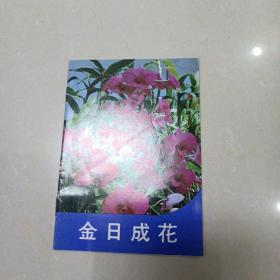 金日成花（小册）