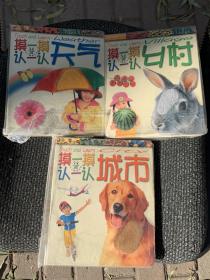 点点触摸系列（摸一摸认一认天气、乡村、城市）3本合售50元