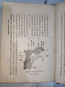 民国18年 近世妇人科学