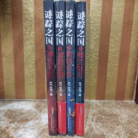 谜踪之国 I：雾隐占婆