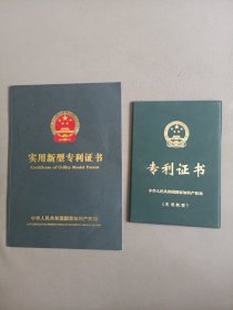 专利证书(2本)