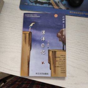 漂洋日记