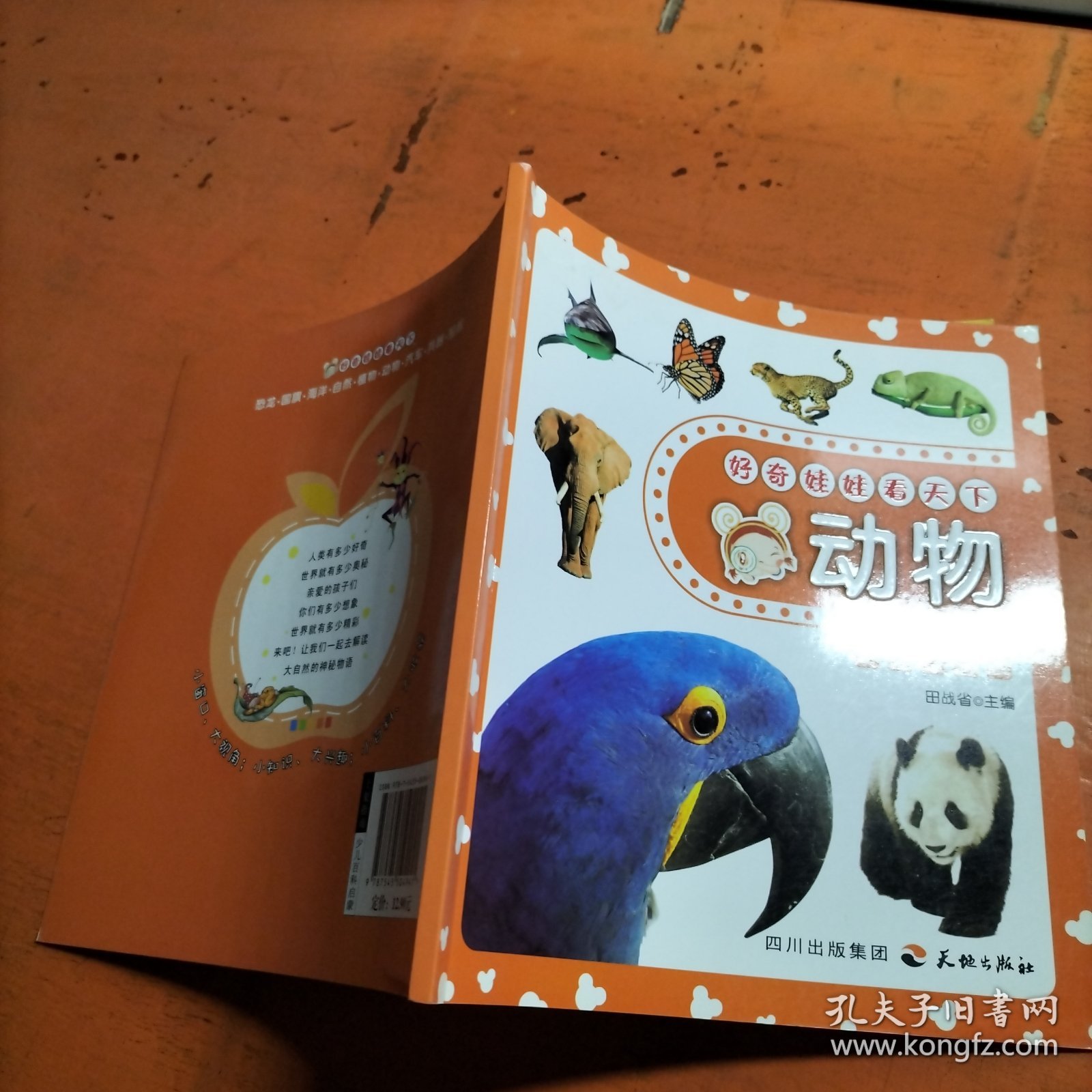 好奇娃娃看天下动物